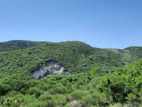 Sale, two bedroom apartment, 68m², Bečići, Budva - image 9