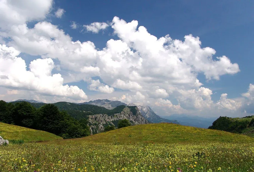 Prodaja, plac, 60000m², Dragovića Polje, Kolašin