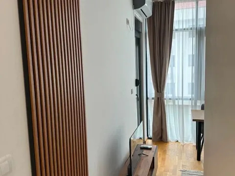 Rent, studio apartment, 29m², Zabjelo, Podgorica - image 2