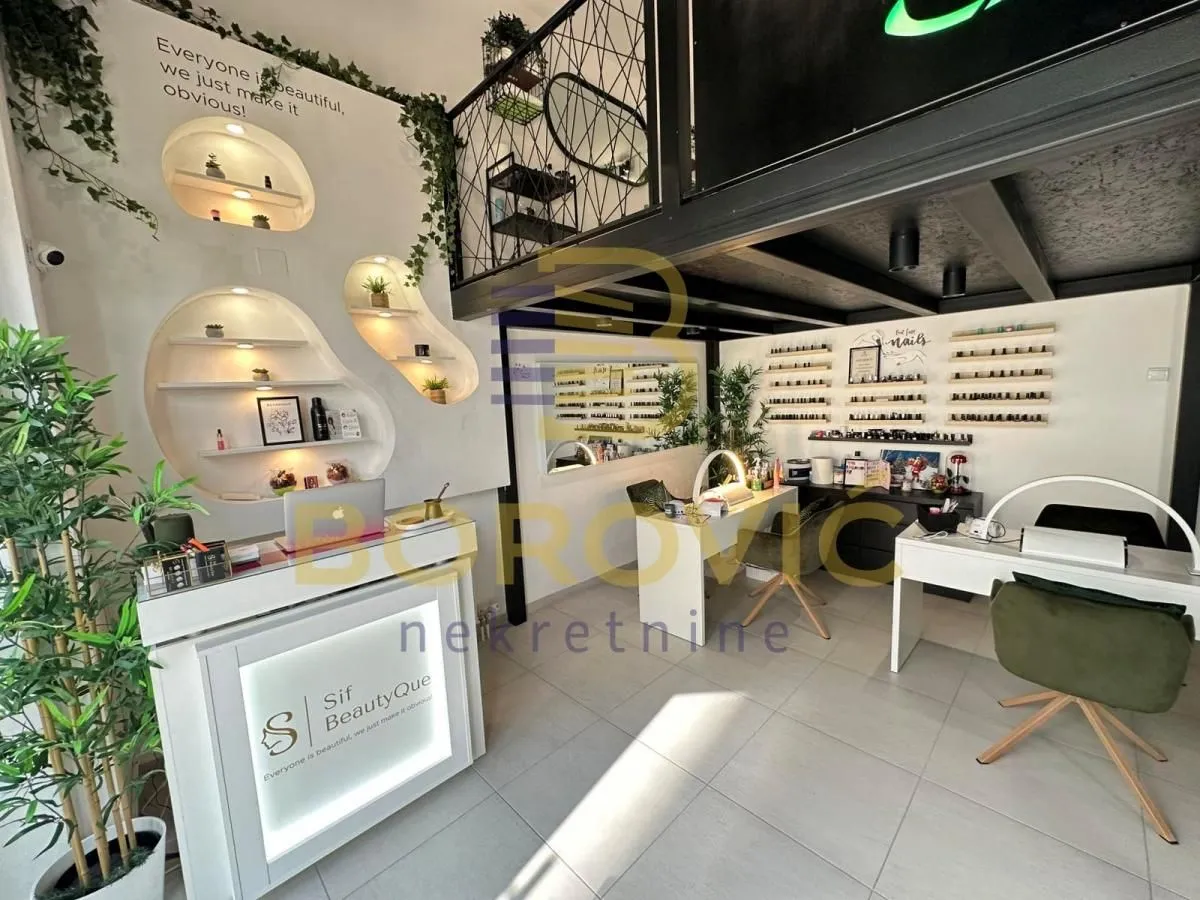 Izdavanje, poslovni prostor, 60m², Višnjička Banja, Palilula Sve Podlokacije