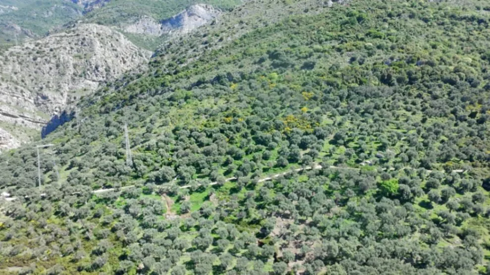Prodaja, plac, 10500m², Stari Bar, Bar