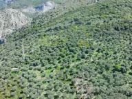 Prodaja, plac, 10500m², Stari Bar, Bar - image 7