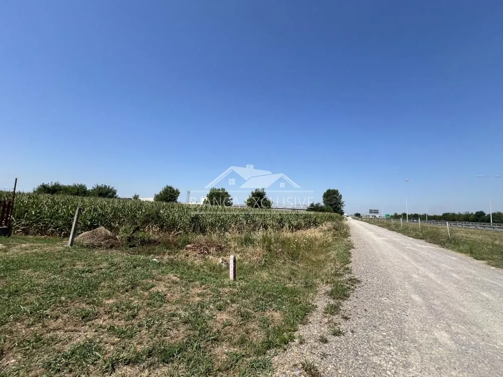 Prodaja, plac, 12000m², Dobanovci, Surčin