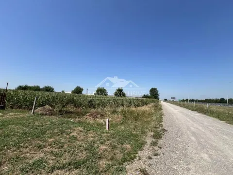 Sale, land lot, 12000m², Dobanovci, Surčin - image 2