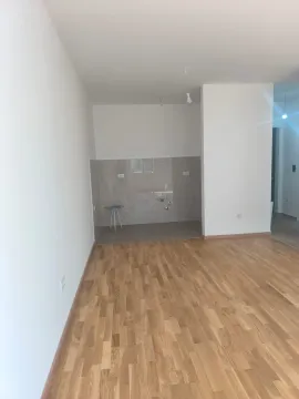 Rent, one bedroom apartment, 42m², Zagorič, Podgorica - image 3