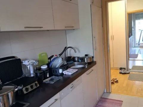 Izdavanje, jednosoban stan, 45m², Preko Morače, Podgorica - image 7