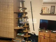 Prodaja, kuća, 95m², Karaburma, Palilula Sve Podlokacije - image 11