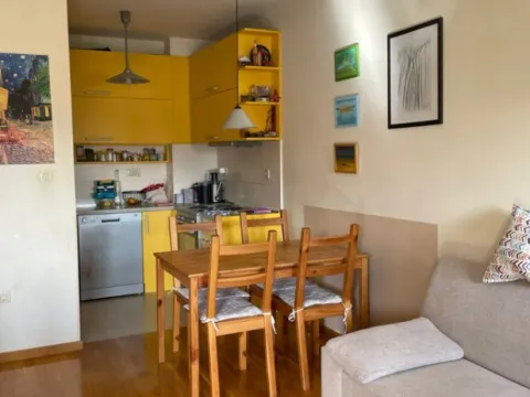 Izdavanje, jednosoban stan, 43m², Stari Aerodrom, Podgorica