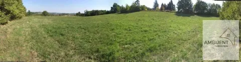 Pogled na prostrano zeleno zemljište sa drvećem u pozadini. - image 4