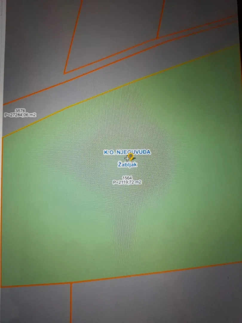 Katastarski plan parcele na Žabljaku, površine 2119 metara kvadratnih.