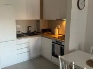 Izdavanje, jednosoban stan, 40m², Central Point, Podgorica - image 3