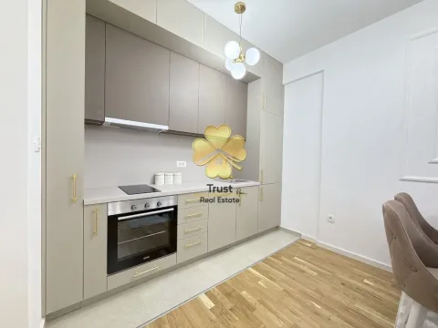 Izdavanje, dvosoban stan, 70m², Stari Aerodrom, Podgorica - image 5