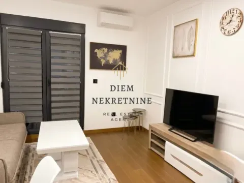 Izdavanje, jednosoban stan, 49m², Stara Varoš, Podgorica - image 7