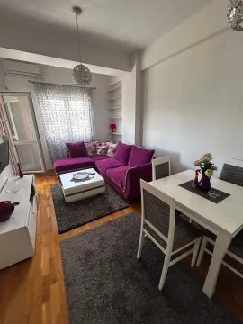 Rent, one bedroom apartment, 59m², Central Point, Podgorica - image 708