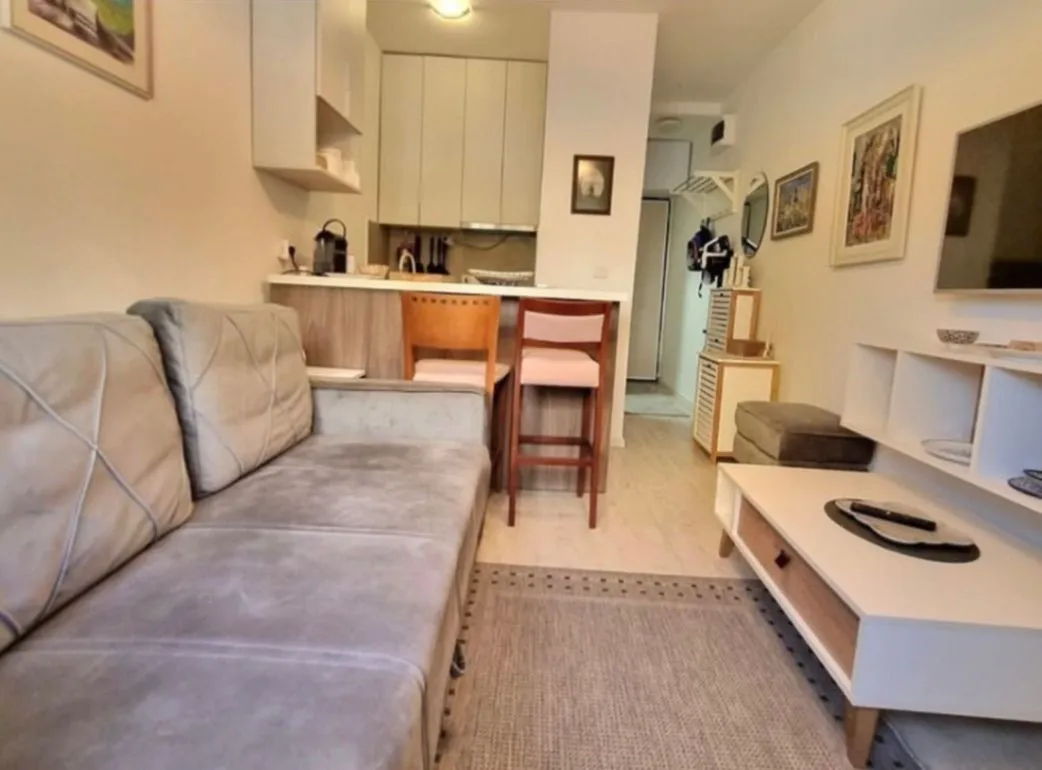 Izdavanje, garsonjera, 24m², Gintaš, Podgorica