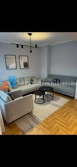 Izdavanje, dvosoban stan, 65m², Tašmajdan, Palilula Sve Podlokacije