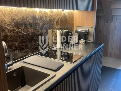 Sale, two bedroom apartment, 47m², Kopaonik, Srbija - image 18