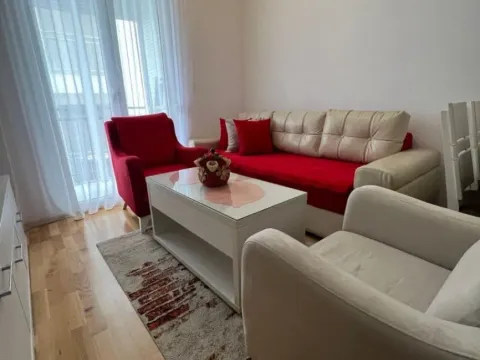 Izdavanje, jednosoban stan, 32m², Stari Aerodrom, Podgorica - image 9