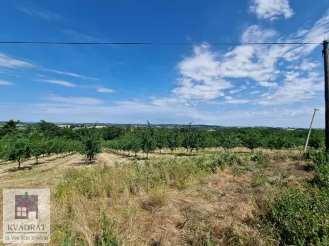 Prodaja, kuća, 300m², Kršna glava, Ub - image 35