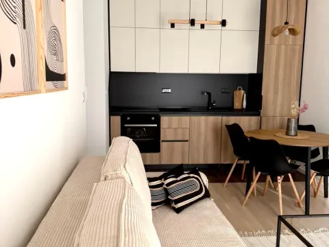 Rent, one bedroom apartment, 37m², Tološi, Podgorica - image 2