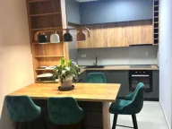 Izdavanje, jednosoban stan, 47m², Zabjelo, Podgorica - image 2