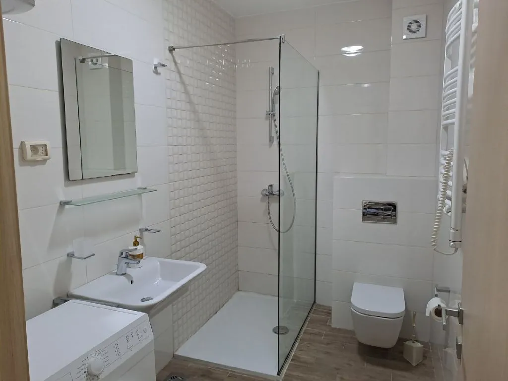 Modernly equipped bathroom with a walk-in shower, washbasin, and toilet.