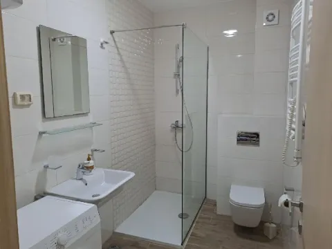 Modernly equipped bathroom with a walk-in shower, washbasin, and toilet. - image 6