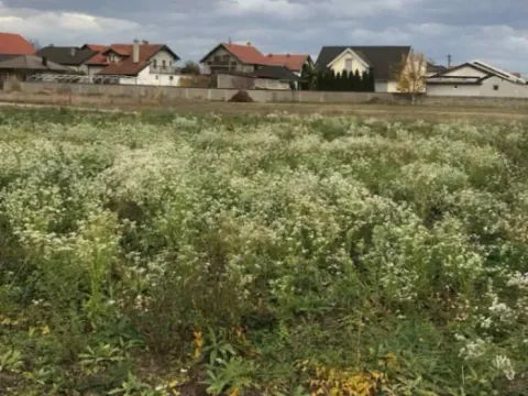 Prodaja, plac, 650m², Loznica, Srbija - image 3