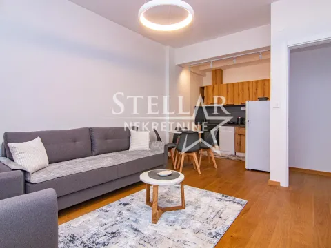 Rent, one bedroom apartment, 55m², Stara Varoš, Podgorica - image 3