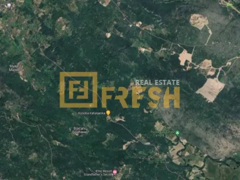 Prodaja, plac, 56000m², Danilovgrad, Crna Gora