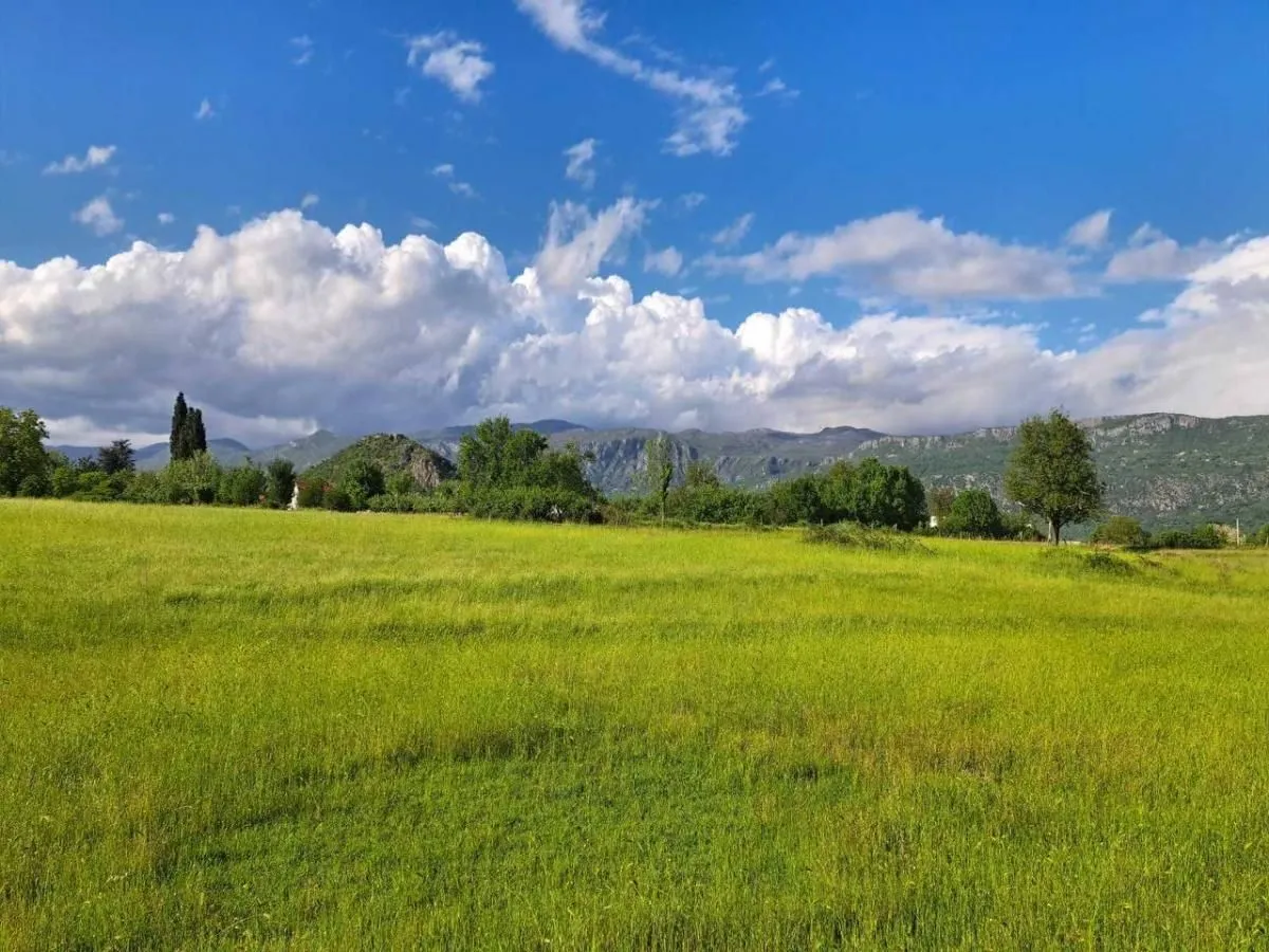Prodaja, plac, 7800m², Spuž, Danilovgrad