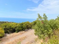 Prodaja, plac, 437m², Rađenovići, Budva - image 2