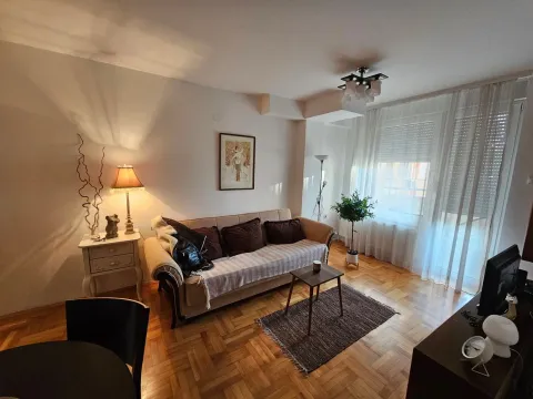 Izdavanje, jednosoban stan, 42m², Centar, Niš - image 6