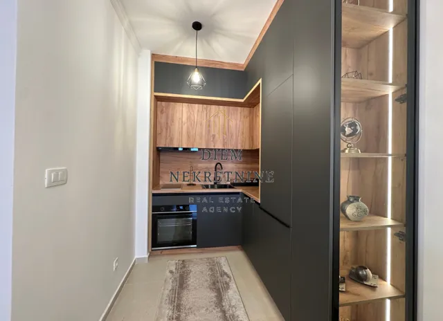 Rent, one bedroom apartment, 43m², Stari Aerodrom, Podgorica