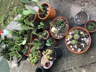 Prodaja, kuća, 260m², Sutomore, Bar - image 7