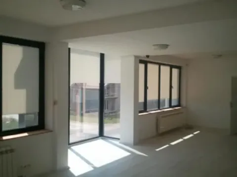 Izdavanje, poslovni prostor, 864m², Altina, Beograd - image 6