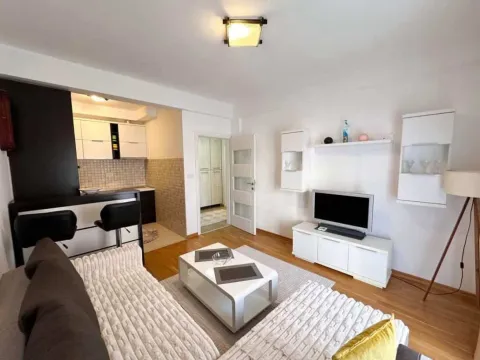 Rent, one bedroom apartment, 45m², Podgorica, Crna Gora - image 4