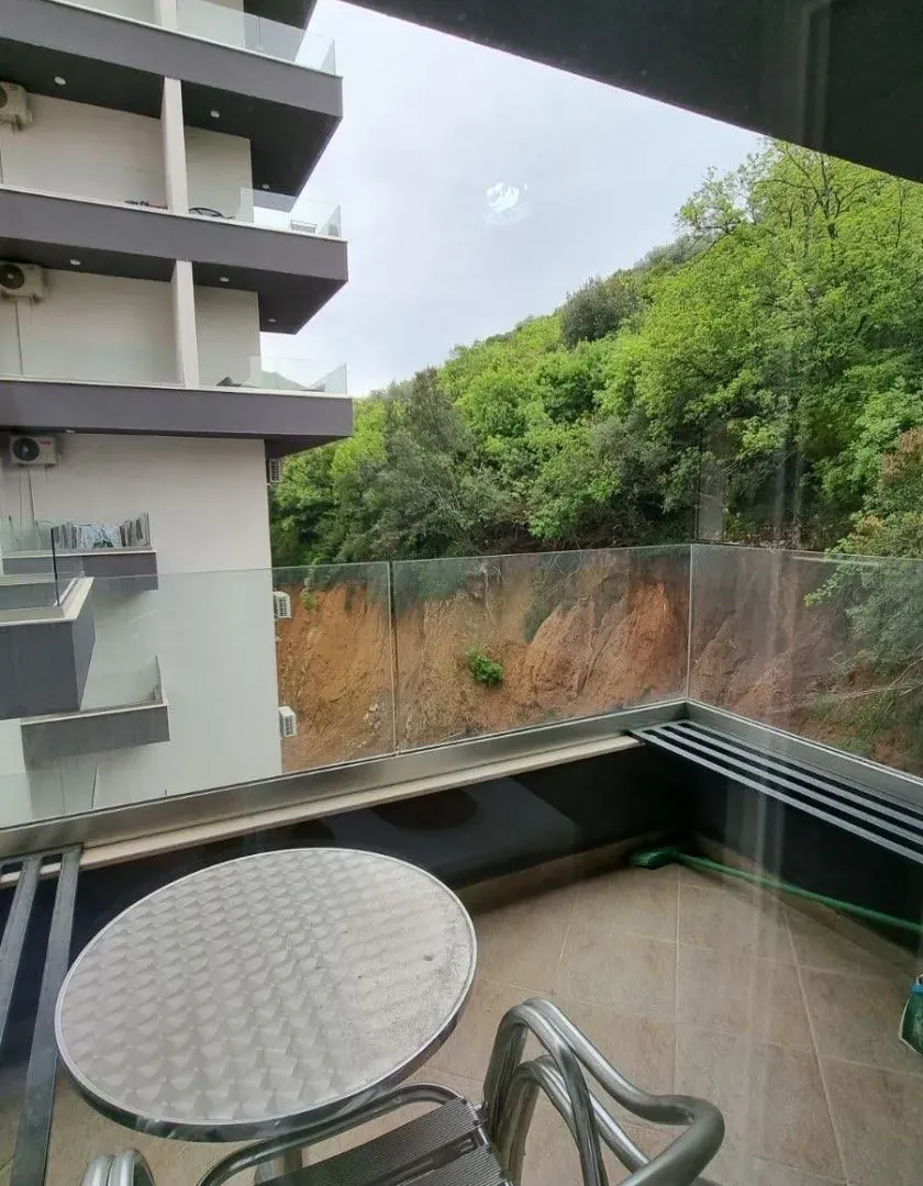 Izdavanje, garsonjera, 30m², Budva, Crna Gora