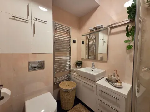 Modern bathroom equipped with a sink, toilet, and fitted cabinets. - image 15
