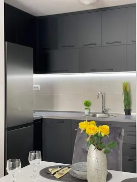 Rent, one bedroom apartment, 59m², Central Point, Podgorica - image 225