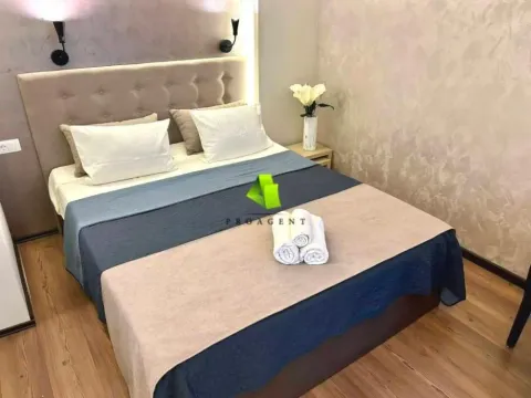 Izdavanje, stan, 25m², Pantelej, Niš - image 4