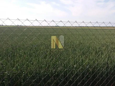 Prodaja, plac, 74000m², Žabalj, Srbija - image 9