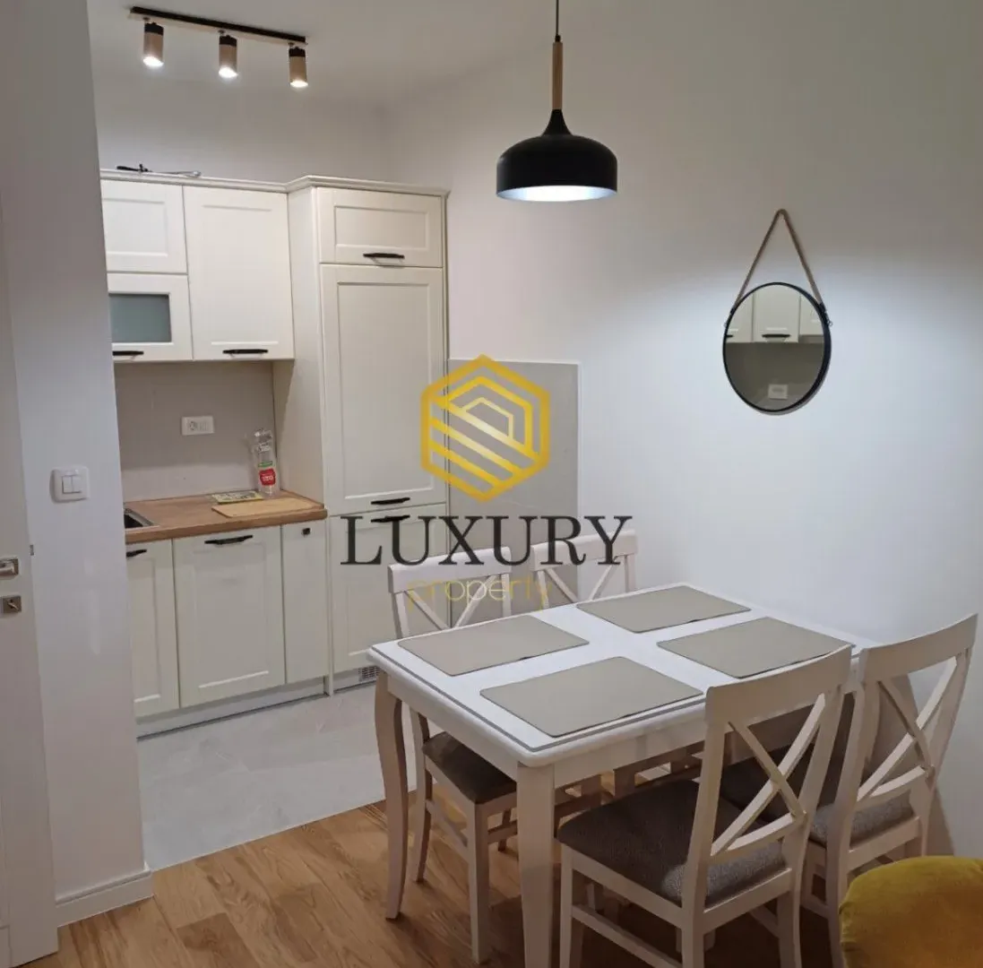 Izdavanje, jednosoban stan, 45m², Central Point, Podgorica