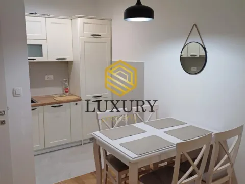 Izdavanje, jednosoban stan, 45m², Central Point, Podgorica - image 2