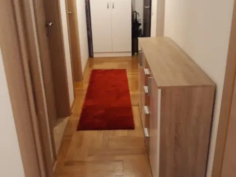 Rent, one bedroom apartment, 46m², Drač, Podgorica - image 2