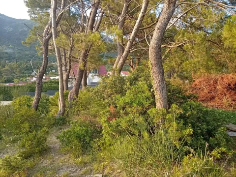 Prodaja, plac, 1530m², Mrčevac, Tivat - image 4