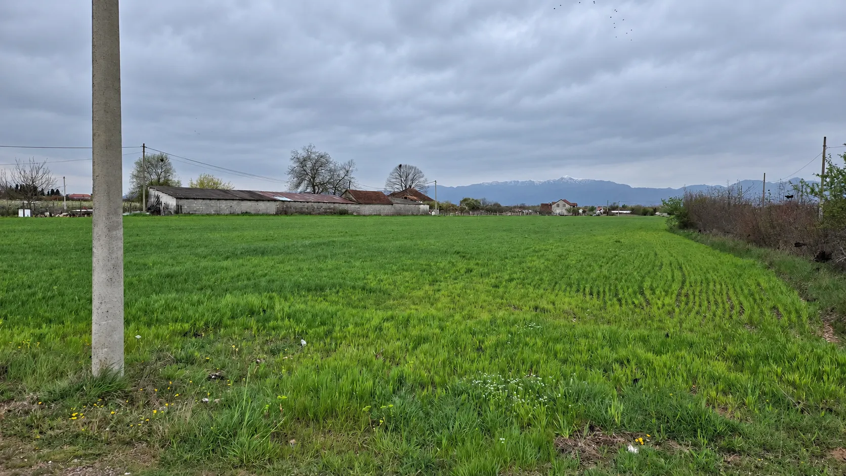 Pogled na prostrano zeleno polje sa seoskim imanjem u pozadini.