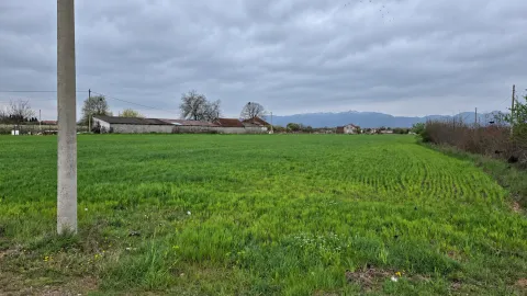 Pogled na prostrano zeleno polje sa seoskim imanjem u pozadini. - image 4