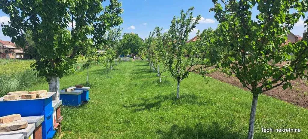 Prodaja, kuća, 233m², Nova Pazova, Stara Pazova