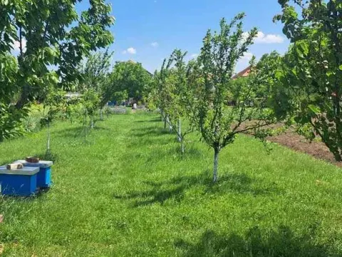 Prodaja, kuća, 233m², Nova Pazova, Stara Pazova - image 14